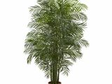 Large Fake Palm Trees for Sale Fake Palm Trees for Sale Indoor Adinaporter