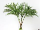 Large Fake Palm Trees for Sale Fake Palm Trees for Sale Indoor Adinaporter