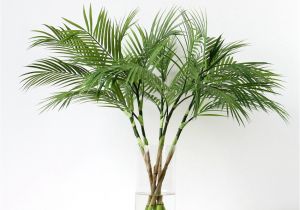 Large Fake Palm Trees for Sale Fake Palm Trees for Sale Indoor Adinaporter