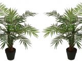 Large Fake Palm Trees for Sale Fake Palm Trees for Sale Indoor Adinaporter