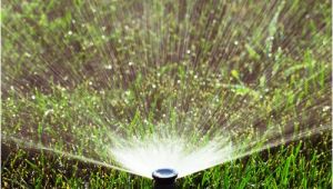 Lawn Sprinkler Repair fort Collins fort Collins Sprinkler Turn On Shut Off Sprinkler Blow Out