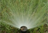 Lawn Sprinkler Repair fort Collins How to Blow Out or Drain Sprinkler System before Freeze