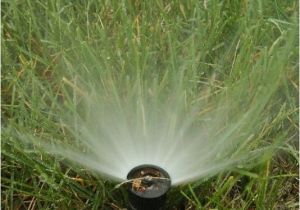 Lawn Sprinkler Repair fort Collins How to Blow Out or Drain Sprinkler System before Freeze