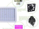 Led Grow Tent Packages Amazon Com Homenote Led Plant Grow Light for Indoor Plants 1000w