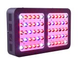 Led Grow Tent Packages Mastergrow 600w Full Spectrum Led Grow Light with Veg Bloom Modes