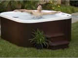 Lifesmart Hot Tub Reviews Lifesmart Hot Tub Rock solid Simplicity Plug and Play Review