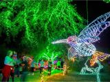 Light the Night Phoenix Art Museum What to Do On Christmas Day 2018 In Phoenix