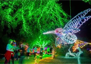Light the Night Phoenix Art Museum What to Do On Christmas Day 2018 In Phoenix