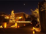 Light the Night Phoenix Las Noches De Las Luminaries Desert Botanical Gardens Phoenix