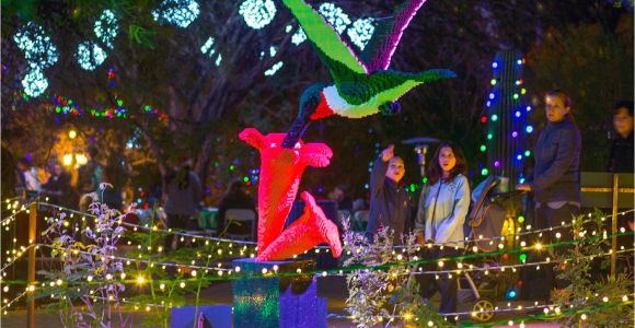 Light the Night Phoenix Museum Things to Do On Thanksgiving Day 2018 In Phoenix