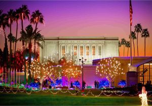 Light the Night Phoenix Museum What to Do On Christmas Day 2018 In Phoenix