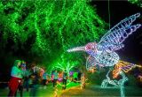 Light the Night Phoenix Museum What to Do On Christmas Day 2018 In Phoenix