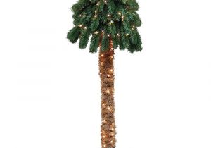 Lighted Palm Tree Home Depot General Foam 4 Ft Pre Lit Palm Artificial Christmas Tree