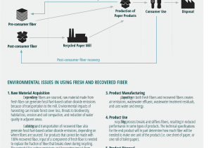 List Of Raw Materials Used In Furniture Home Sustainable forest Products