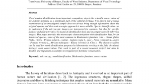 List Of Raw Materials Used In Furniture Pdf Wood Identification Of 18th Century Furniture Interpreting