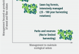List Of Sustainable Materials for Furniture Home Sustainable forest Products