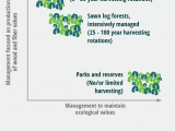 List Of Sustainable Materials for Furniture Home Sustainable forest Products