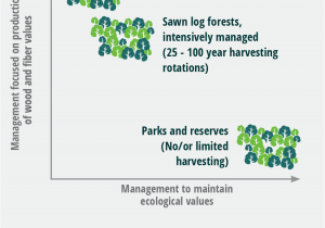 List Of Sustainable Materials for Furniture Home Sustainable forest Products