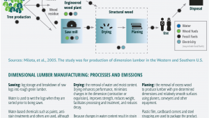 List Of Sustainable Materials for Furniture Home Sustainable forest Products