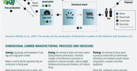 List Of Sustainable Materials for Furniture Home Sustainable forest Products