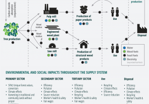 List Of Sustainable Materials for Furniture Home Sustainable forest Products