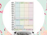Living Well Spending Less Holiday Planner 2019 Tracker Food Diary Diet Slimming World Compatible 3 Month