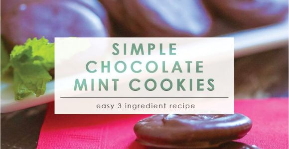 Living Well Spending Less Holiday Planner Simple Chocolate Mint Cookies Living Well Spending Lessa