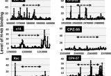 Log Cabin Kits Under $50000 Altered Distribution Of Rna Polymerase Lacking the Omega Subunit