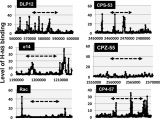 Log Cabin Kits Under $50000 Altered Distribution Of Rna Polymerase Lacking the Omega Subunit