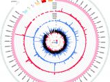 Log Cabin Kits Under $50000 Analysis Of Global Transcriptional Profiles Of Enterotoxigenic