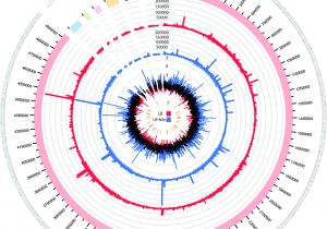 Log Cabin Kits Under $50000 Analysis Of Global Transcriptional Profiles Of Enterotoxigenic