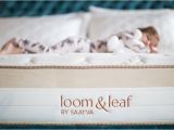 Loom and Leaf Vs Saatva 14 Best Loom and Leaf Mattress Reviews Images On Pinterest