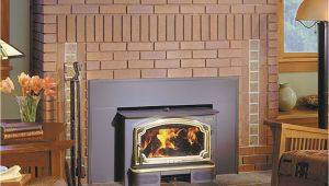 Lopi Answer Wood Stove Lopi Wood Burning Insert the Fireplace Professionals