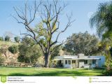 Los Angeles Residential Landscape Architects Exterior Garden Of A Luxury House Editorial Photo Image Of House