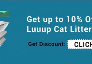 Luuup Litter Box Reviews Luuup Review the Ingenous Cat Litter Box that Makes Life