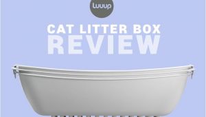 Luuup Litter Box Reviews Luuup Review the Ingenous Cat Litter Box that Makes Life