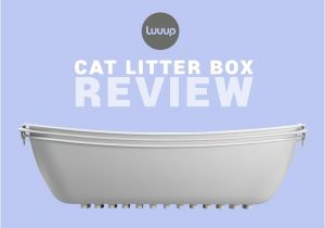 Luuup Litter Box Reviews Luuup Review the Ingenous Cat Litter Box that Makes Life
