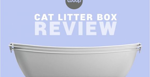 Luuup Litter Box Reviews Luuup Review the Ingenous Cat Litter Box that Makes Life