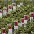 Mcminnville Tn Nurseries Retail Mcminnville Tn Nursery Capital Of the World