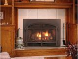 Mendota Direct Vent Gas Fireplace Reviews Gas Fire Inserts Inserts for Gas Fireplaces In Okemos Mi