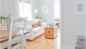 Misty Grey Benjamin Moore Find It the Perfect Grey Paint that Will Outlast the