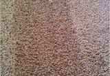 Mohawk Smartstrand Silk Reviews Best Vacuum for Mohawk Smartstrand Silk Carpet Www