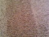 Mohawk Smartstrand Silk Reviews Best Vacuum for Mohawk Smartstrand Silk Carpet Www