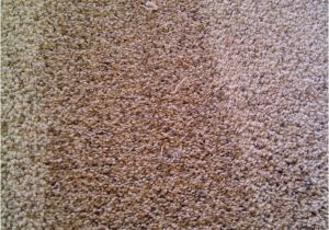 Mohawk Smartstrand Silk Reviews Best Vacuum for Mohawk Smartstrand Silk Carpet Www