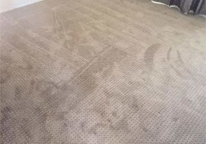 Mohawk Smartstrand Silk Reviews Silk Strand Carpet Reviews Floor Matttroy