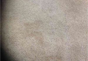 Mohawk Smartstrand Silk Reviews Smartstrand Carpet Complaints Floor Matttroy