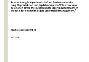 Mon Ray Storm Windows Pdf Schwarzwild Management In Niedersachsen Raumnutzung In