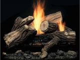 Monessen Vent Free Gas Logs Reviews Monessen Mojo Ventless Gas Log Set Fine 39 S Gas