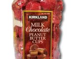 Money Saver Mini Storage Kirkland Wa Amazon Com Kirkland Singature Milk Chocolate Peanut butter Cups