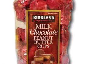 Money Saver Mini Storage Kirkland Wa Amazon Com Kirkland Singature Milk Chocolate Peanut butter Cups